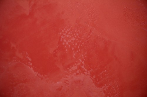 Givaudan 096.JPG